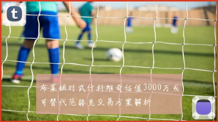 布莱顿对武什科维奇估值3000万或可替代范赫克交易方案解析