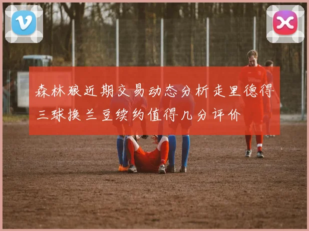森林狼近期交易动态分析走里德得三球换兰豆续约值得几分评价