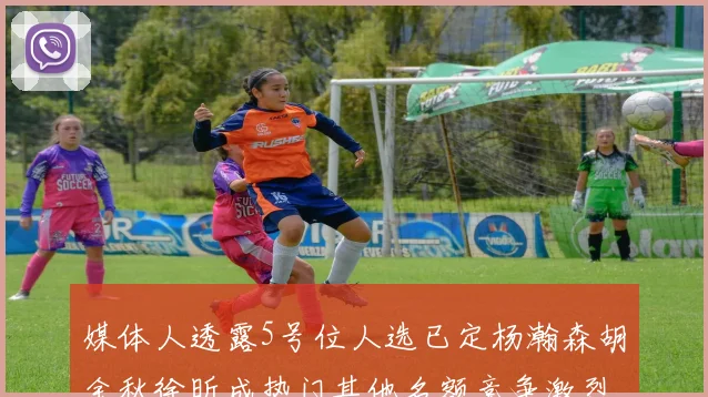 媒体人透露5号位人选已定杨瀚森胡金秋徐昕成热门其他名额竞争激烈
