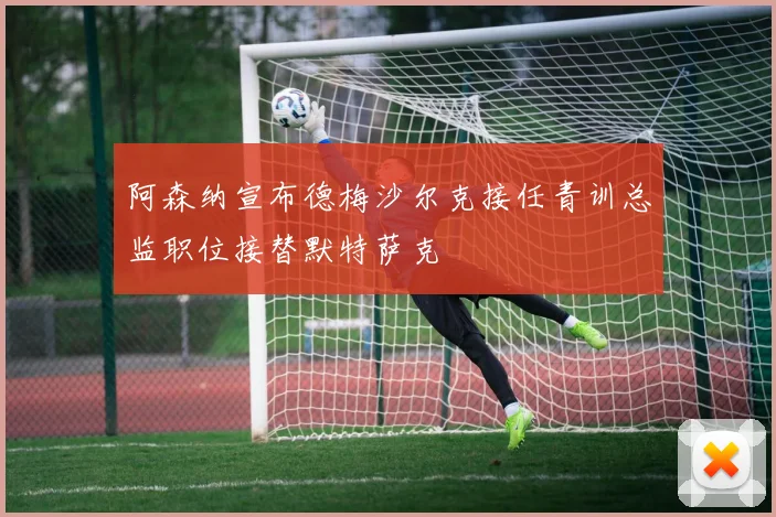 阿森纳宣布德梅沙尔克接任青训总监职位接替默特萨克